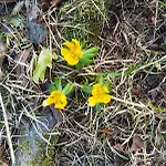 Дом отдыха Gorska Przystan *