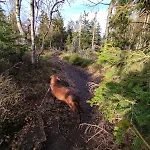 Дом отдыха Gorska Przystan *