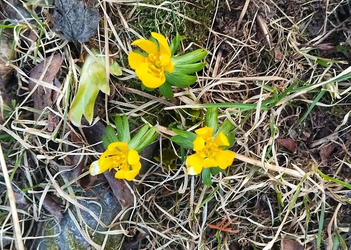 Holiday home Gorska Przystan *