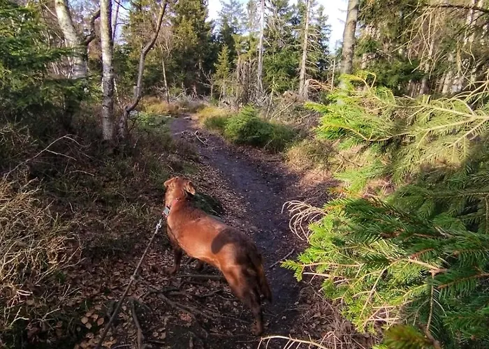 Holiday home Gorska Przystan *