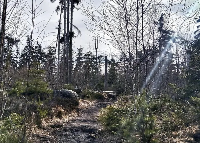 Gorska Przystan Holiday home Duszniki Zdroj